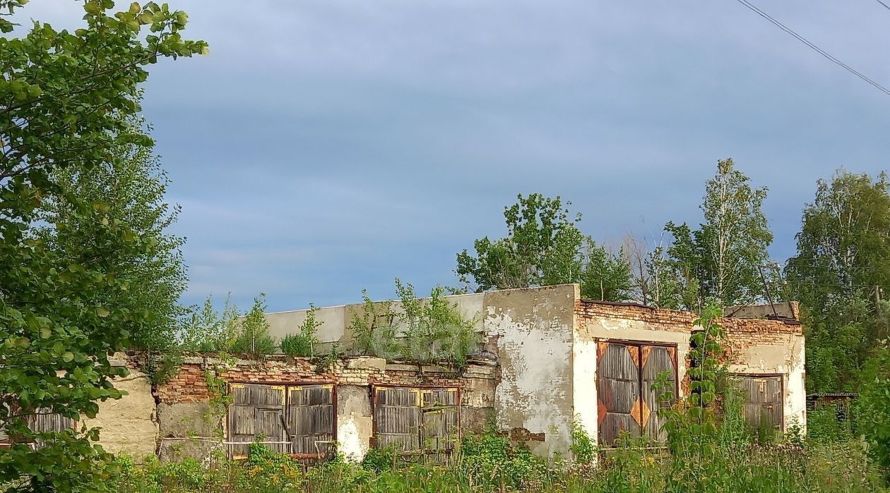 производственные, складские р-н Ишимский с Плешково ул Луговая фото 6