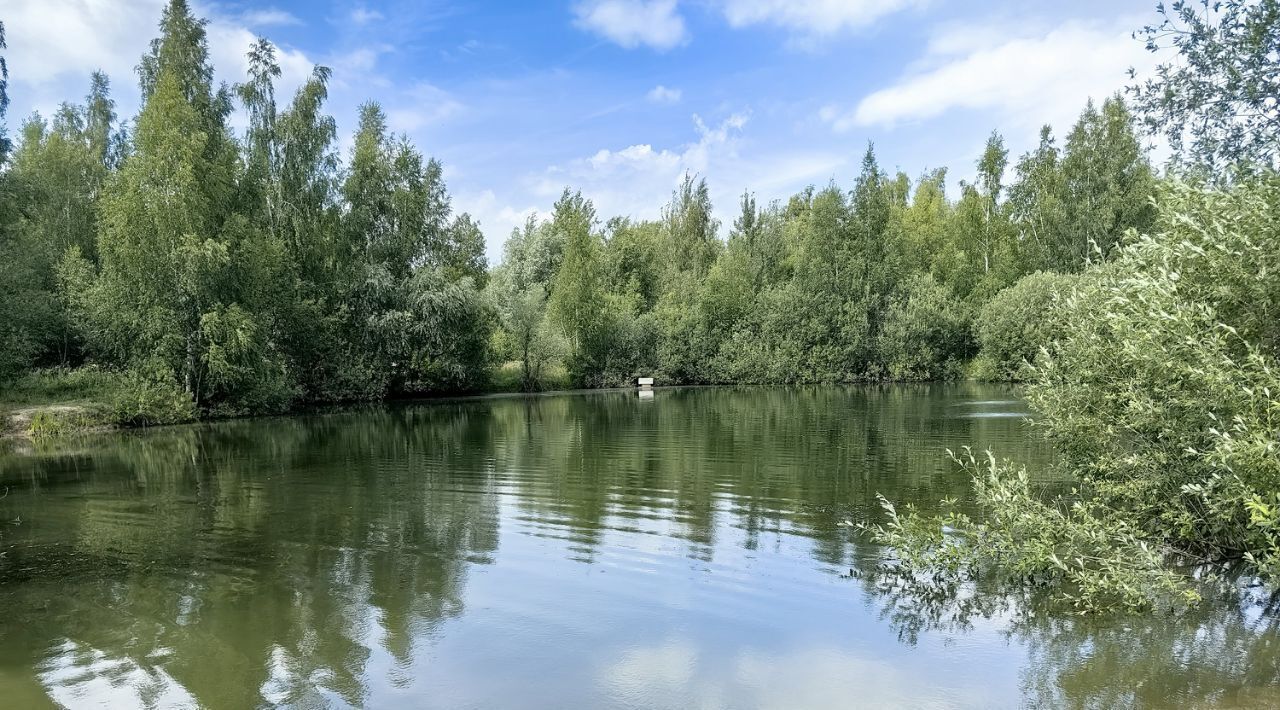 земля городской округ Раменский д Бритово ул Солнечная 22 Софьино-2 кп фото 12