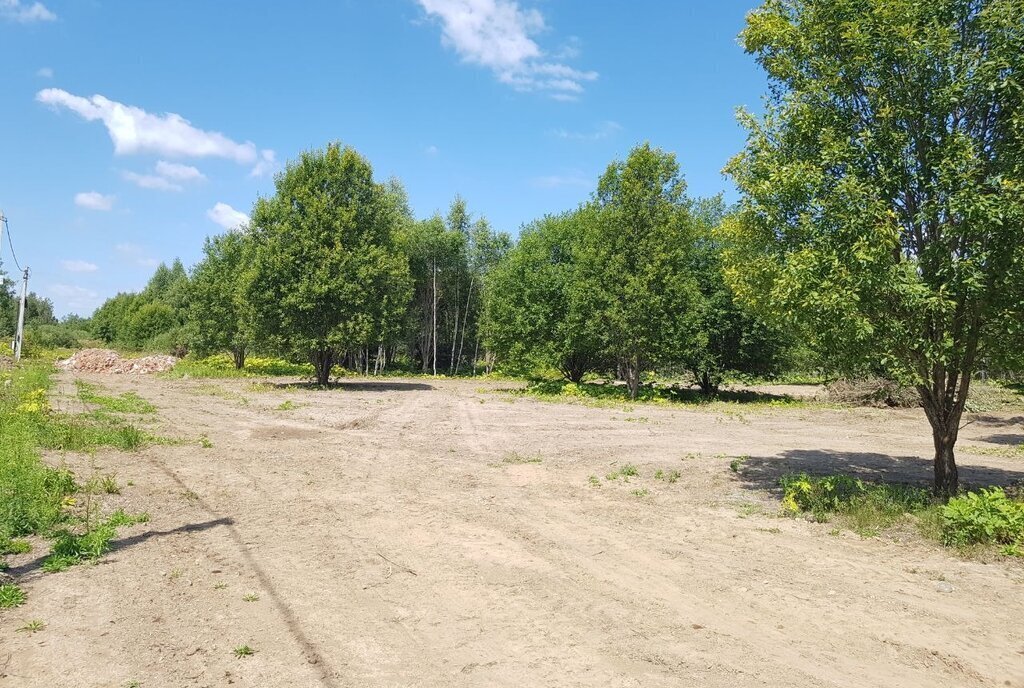 земля городской округ Рузский д Андрейково фото 29