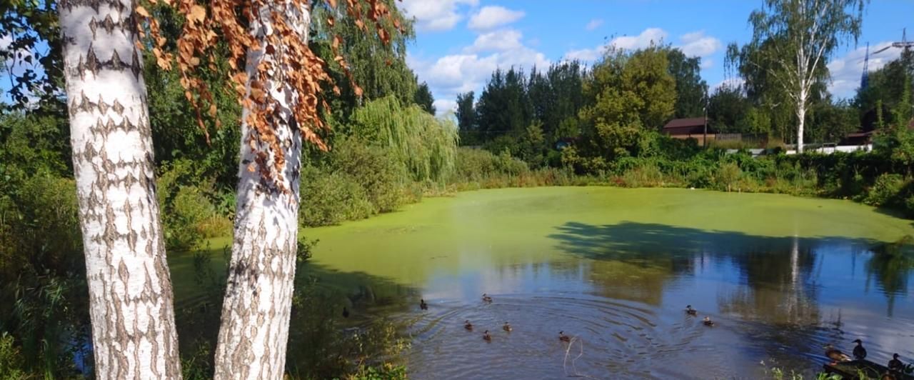 земля городской округ Дмитровский д Сбоево проезд Озерный фото 2