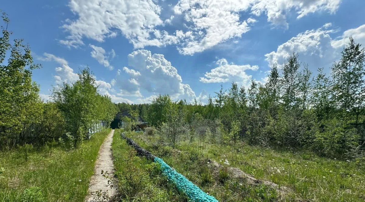 земля городской округ Богородский снт Тонар-Втормет Железнодорожная, 107 фото 15