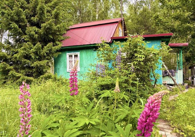 Орехово-Зуево, СНТ Родник фото