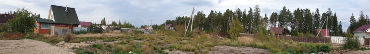 земля г Сосновый Бор Сосновоборский городской округ, Алмазная улица фото 6