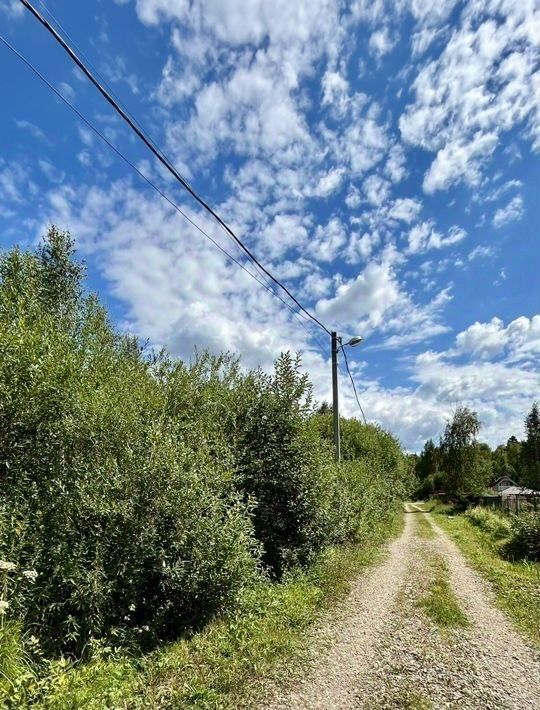 земля городской округ Сергиево-Посадский д Тешилово снт Патриот ул. Березовая фото 14