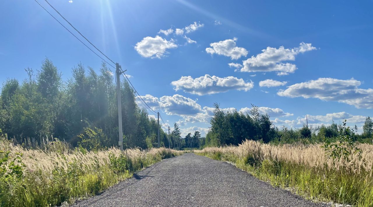 земля городской округ Раменский Фенино Лесное кп фото 4