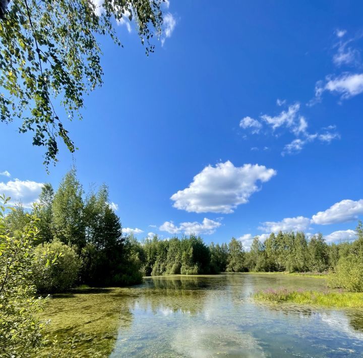 земля городской округ Раменский Фенино Лесное кп фото 4