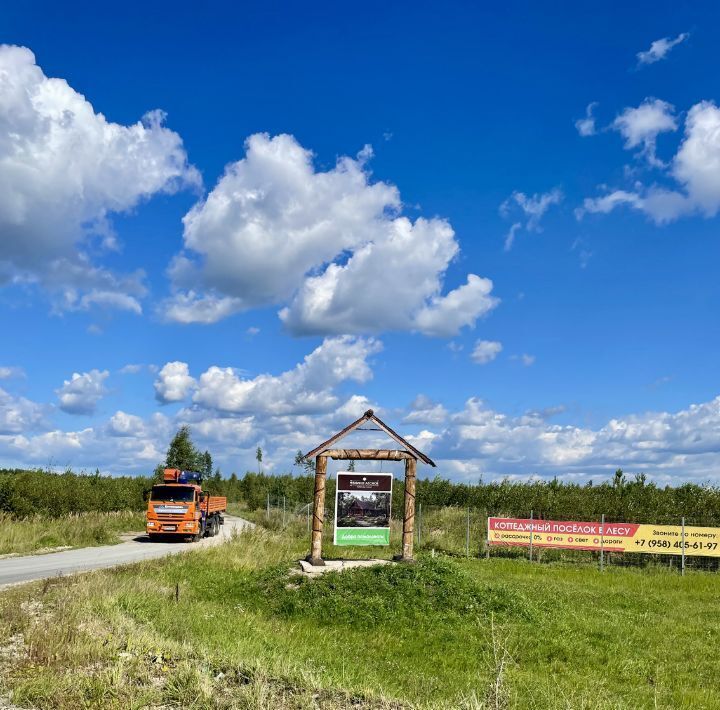 земля городской округ Раменский Фенино Лесное кп фото 6