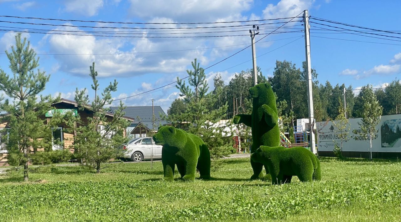 земля городской округ Раменский Фенино Лесное кп фото 5