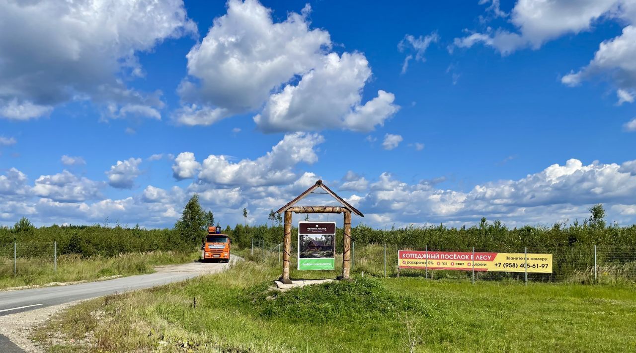 земля городской округ Раменский Фенино Лесное кп фото 6