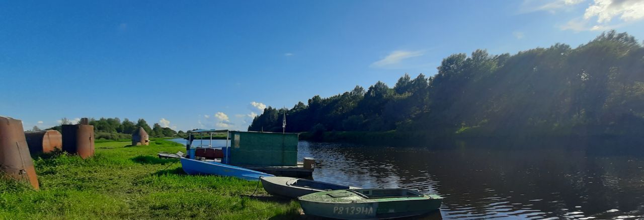 дом р-н Новгородский д Борки Борковское с пос фото 36