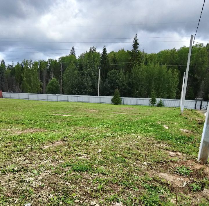 земля городской округ Пушкинский Мартьянковские Дачи кп фото 1