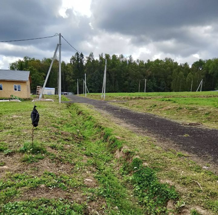 земля городской округ Пушкинский Мартьянковские Дачи кп фото 3