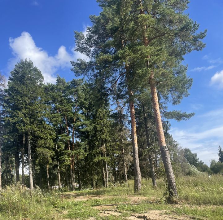 земля городской округ Наро-Фоминский Афинеево Парк кп, Апрелевка фото 1