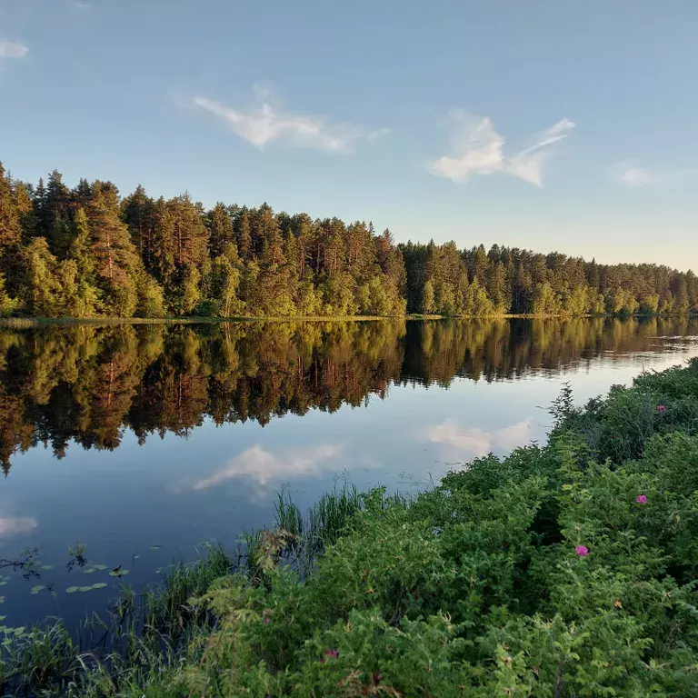 дом р-н Олонецкий с Нурмойла ул Песочная 3 фото 18