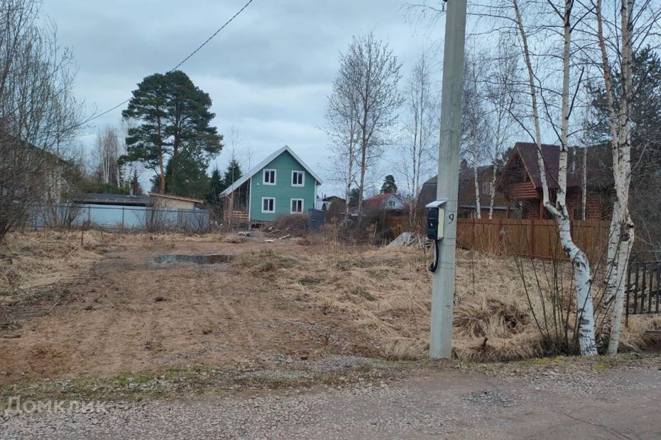 земля р-н Всеволожский СНТ Белоостров фото 1