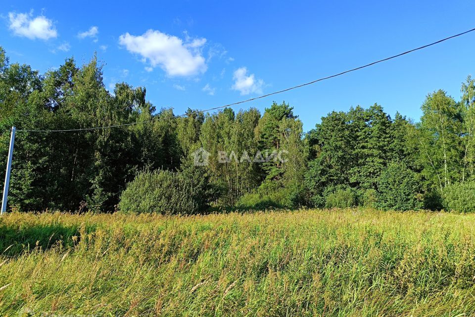 земля городской округ Раменский фото 4