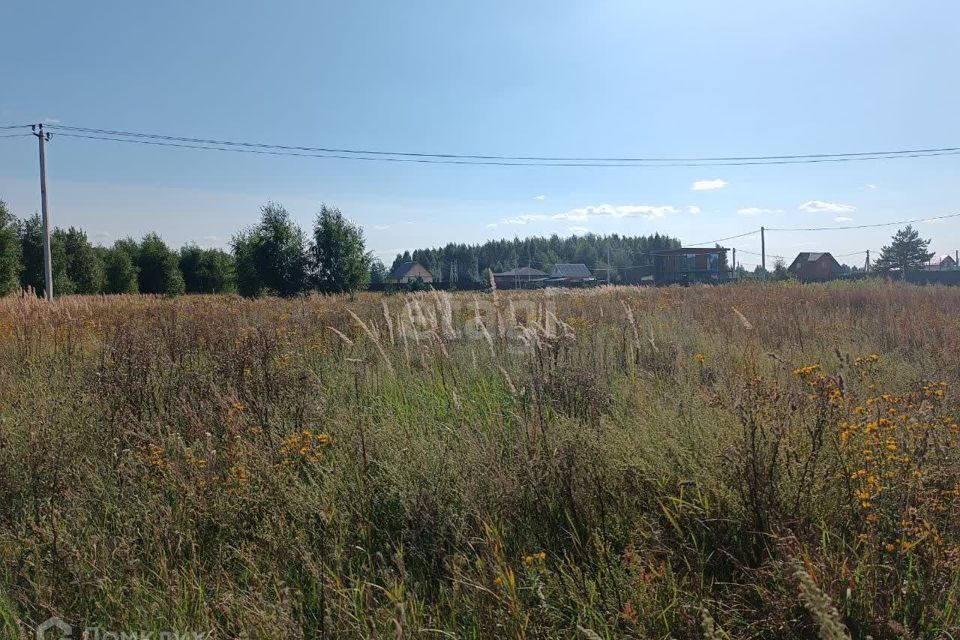 земля городской округ Раменский фото 4