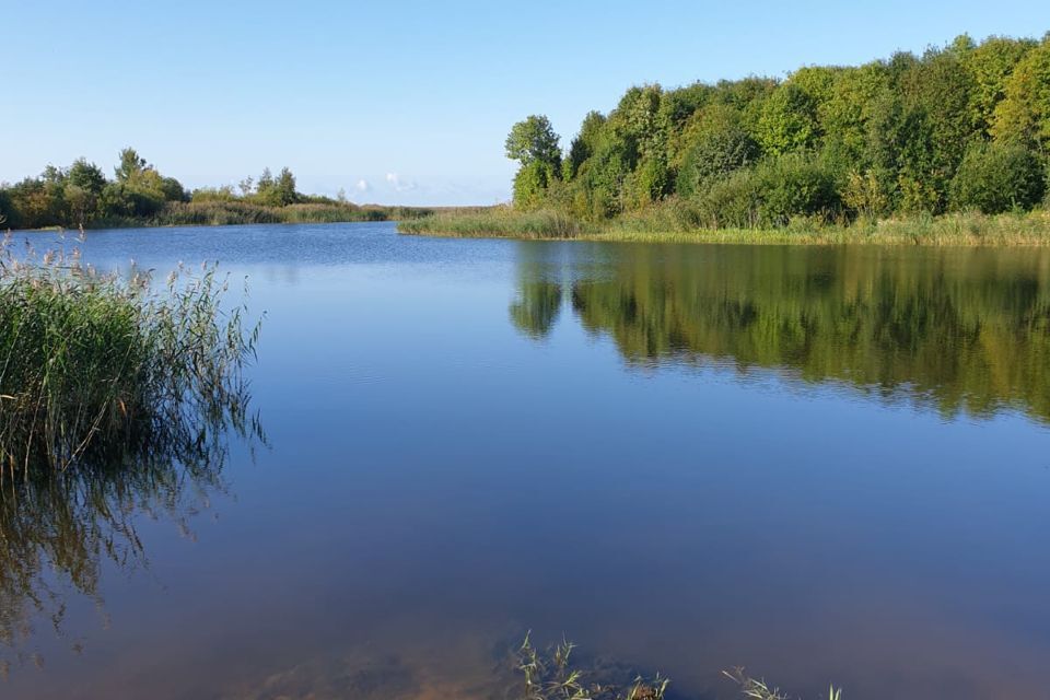 земля р-н Кировский дачный посёлок Зелёный лес фото 9