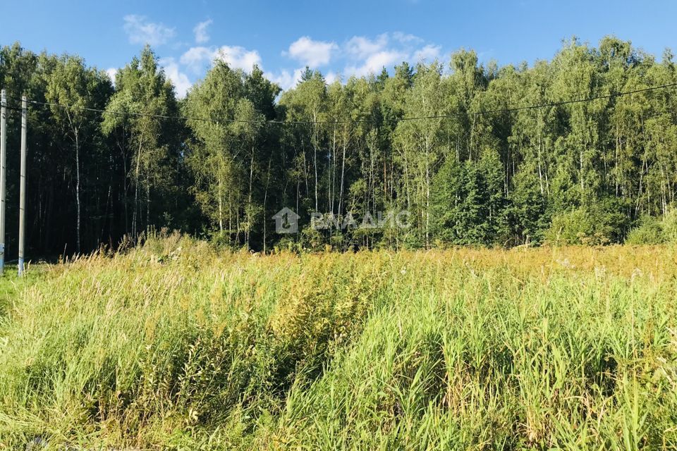 земля городской округ Раменский фото 10