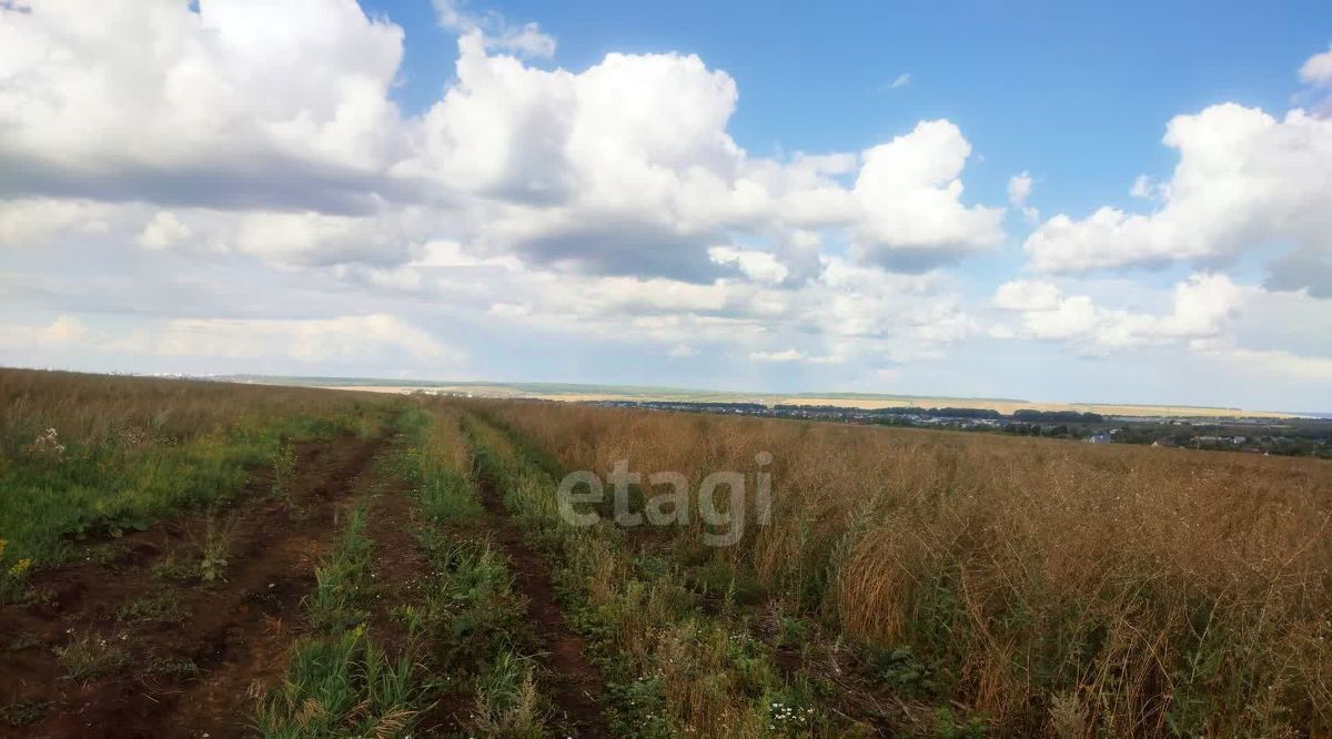 земля г Саранск с Куликовка фото 1