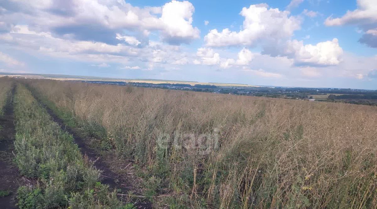 земля г Саранск с Куликовка фото 2