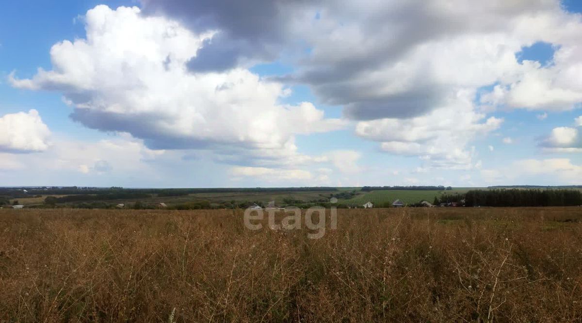 земля г Саранск с Куликовка фото 3