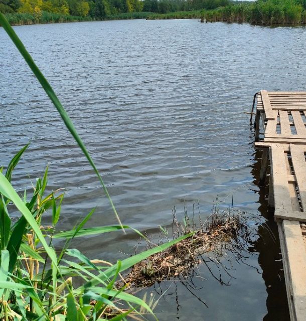 земля р-н Аксайский СТ Ростсельмашевец-2 фото 1