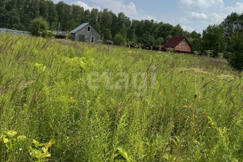 земля Тула городской округ, Октябрьский фото 1