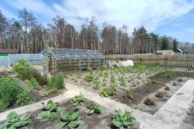 земля городской округ Курган, СНТ Малиновка фото