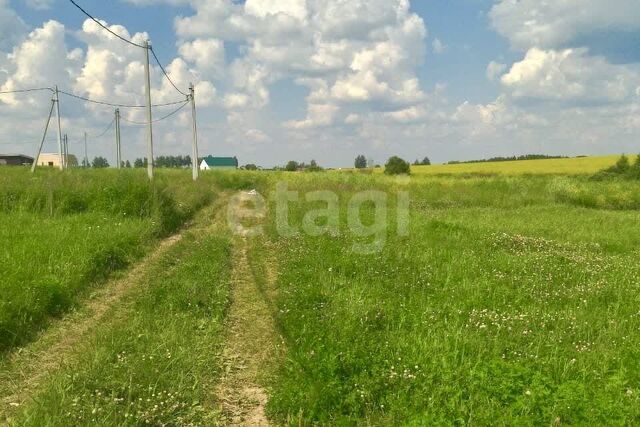 Тула городской округ, Демидовский фото