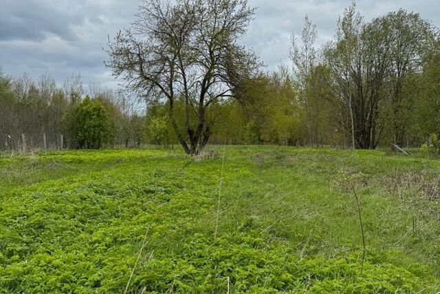 деревня Овинцево фото