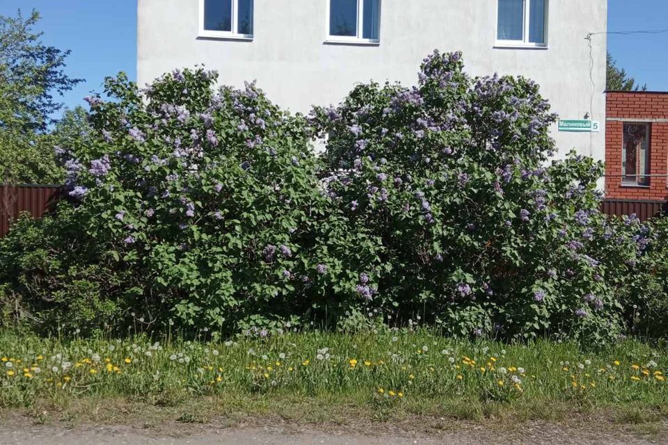 дом г Ижевск р-н Индустриальный Большие Пазелы проезд Малиновый городской округ Ижевск фото 1