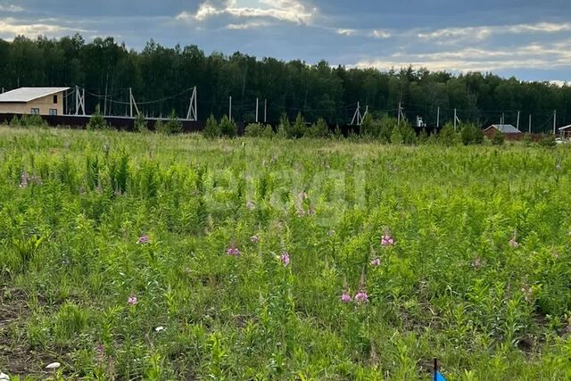 Белоярский городской округ фото