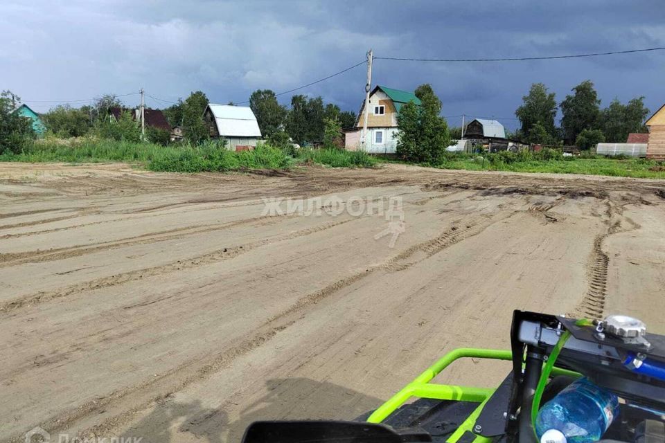 земля р-н Новосибирский СНТ Ёлочка фото 2