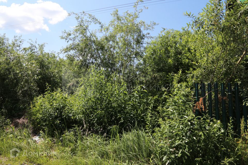 земля г Тюмень снт Меридиан ул Лесная 12-я городской округ Тюмень фото 4