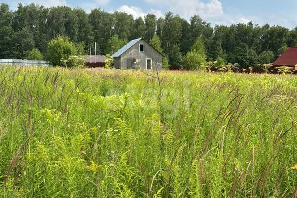 земля Тула городской округ, Октябрьский фото 2