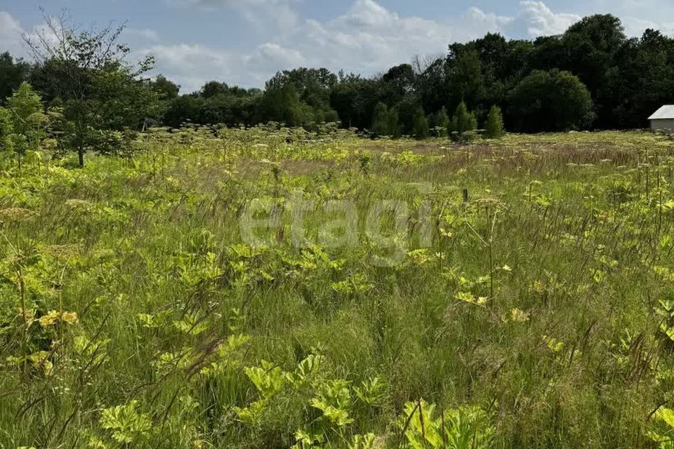 земля Тула городской округ, Октябрьский фото 3