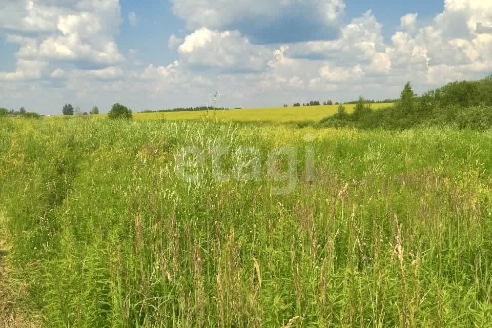 земля Тула городской округ, Демидовский фото 4