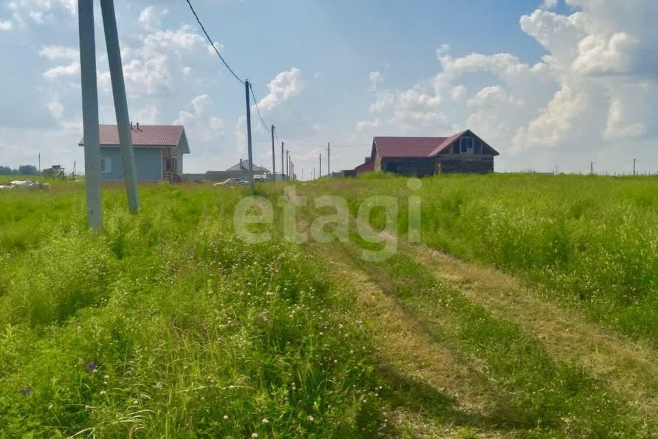 земля Тула городской округ, Демидовский фото 3