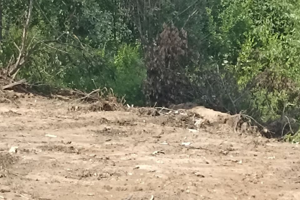 земля г Междуреченск ул Дружбы Междуреченский городской округ фото 3