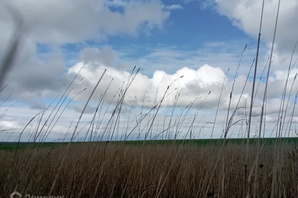 земля р-н Ленинский село Каменское фото 1