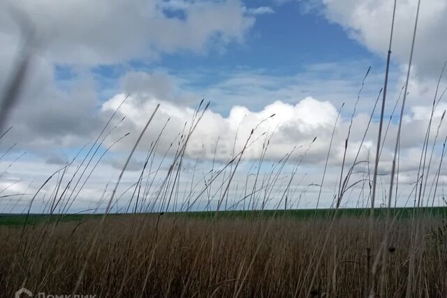 село Каменское фото