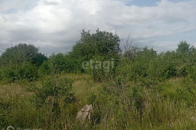 снт тер.Светоч ул Шафрановая городской округ Феодосия фото