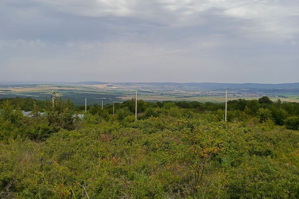 земля Новороссийск городской округ, СНТ Моряк фото 4