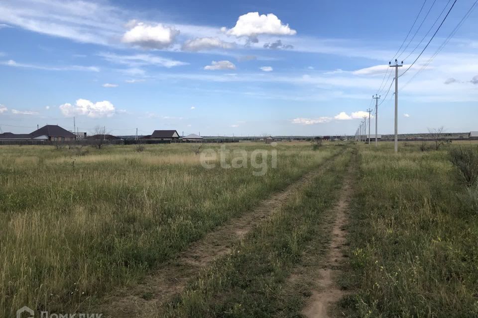 земля р-н Алтайский село Белый Яр фото 2