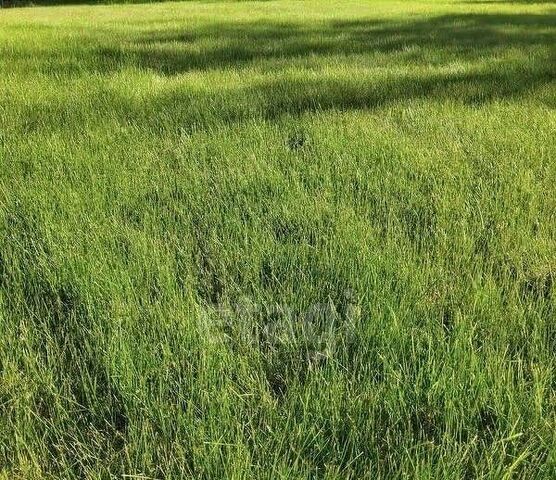 земля Саянтуйское муниципальное образование, 1-й кв-л, Тарбагатайский район фото