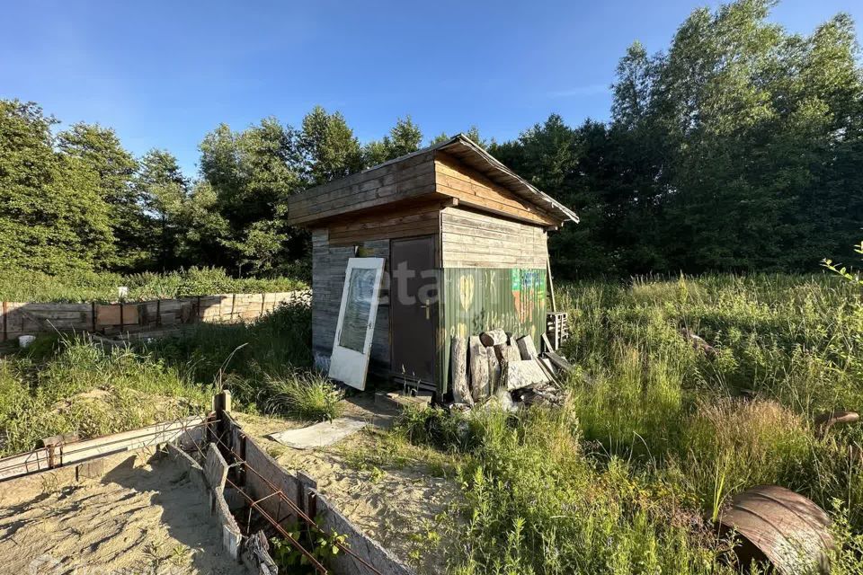 земля г Калининград р-н Ленинградский городской округ Калининград, Психиатрическая больница Калининградской области №1 фото 3