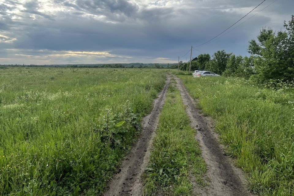 земля р-н Янаульский с Карманово ул Парковая фото 2