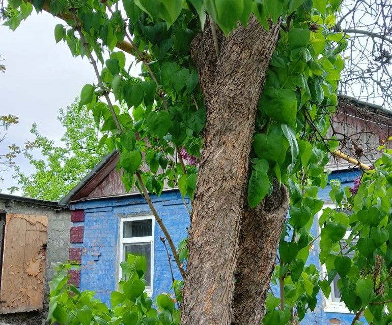 дом г Гуково городской округ Гуково, микрорайон Алмазный фото 10