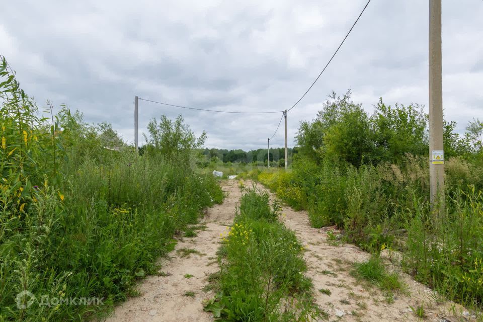 земля р-н Нижнетавдинский село Тюнево фото 6